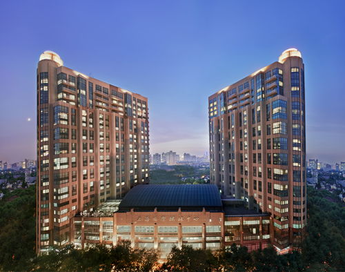 久事衡山大酒店 全面升级焕新颜，餐饮管理再塑沪上地标新体验